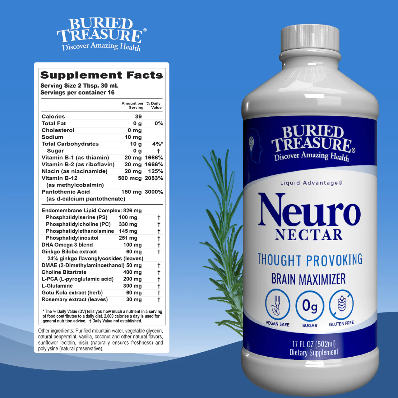 Neuro Nectar for Memory and Mental Focus